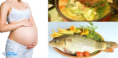 Cá diếc luôn được biết đến là một thực phẩm vô cùng giàu giá trị dinh dưỡng cho mẹ bầu