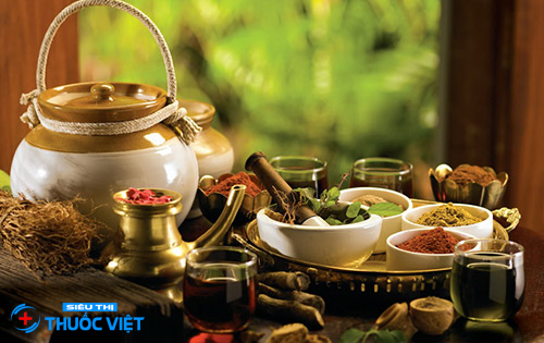 Xạ hương xuất hiện trong nhiều bài thuốc Đông Y quý từ thời xưa