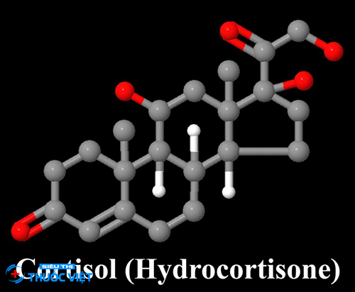 Cấu tạo của cortisol 