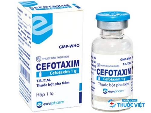 Nguy cơ gặp phải khi sử dụng thuốc Cefotaxim