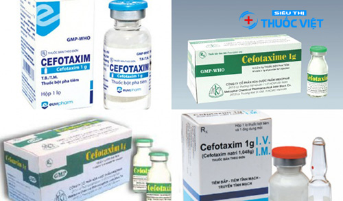 Lưu ý đặc biệt khi sử dụng thuốc Cefotaxim để điều trị