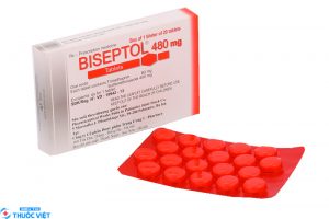 Biseptol 480 mg