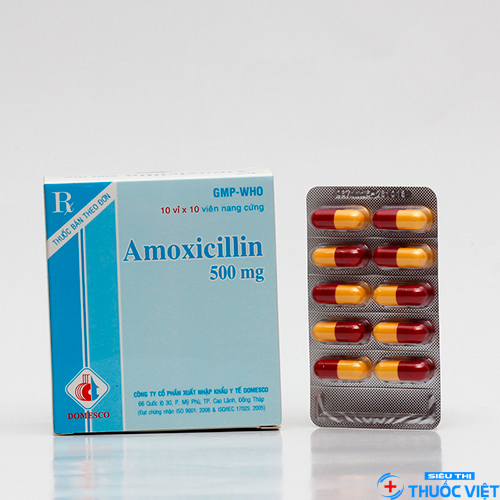 Lưu ý trước khi dùng thuốc amoxicillin