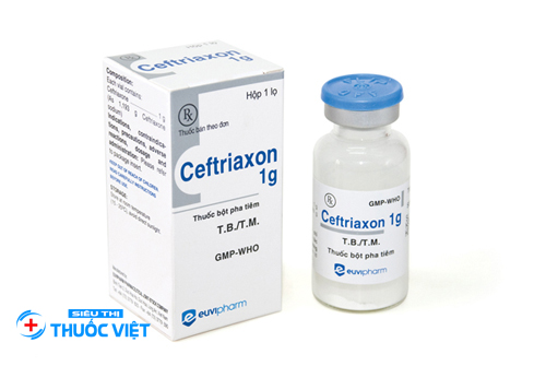 Ceftriaxone điều trị các bệnh nhiễm trùng do vi khuẩn
