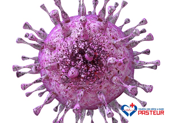 Xét nghiệm virus herpes simplex là gì?