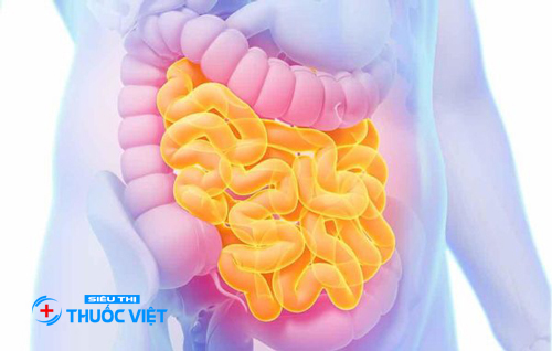 Những điều cần biết về bệnh Crohn