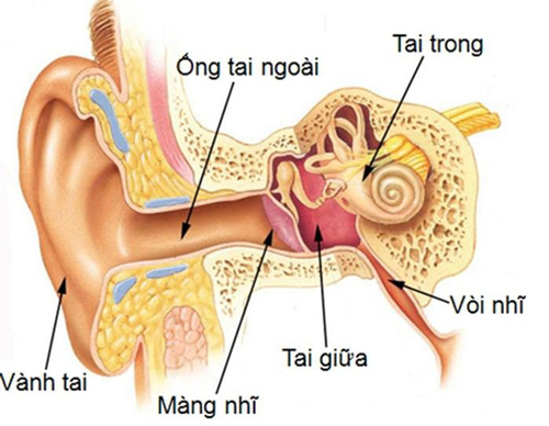 Viêm ống tai ngoài là bệnh gì?