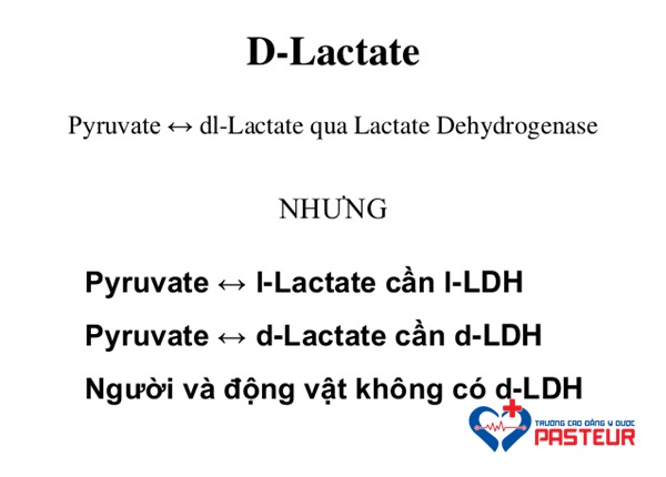 Khi nào thực hiện xét nghiệm axit lactic dehydrogenase (LDH)