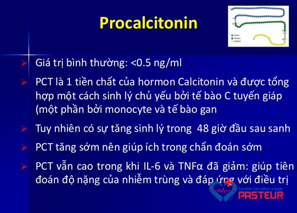 Xét nghiệm Procalcitonin là gì?
