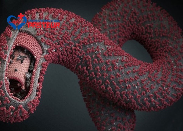 Bệnh virus Ebola nguy hiểm thế nào?