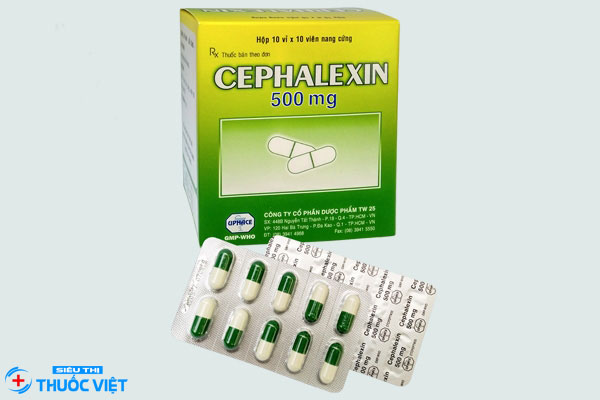 Thuốc Cephalexin 500mg
