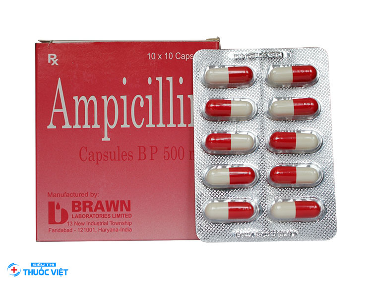 Thuốc Ampicillin và cách sử dụng Ampicillin đúng cách