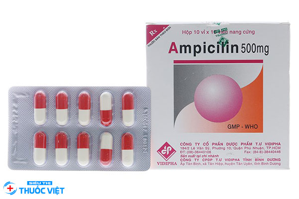 Thuốc ampicillin: Thông tin tác dụng, hàm lượng và liều dùng