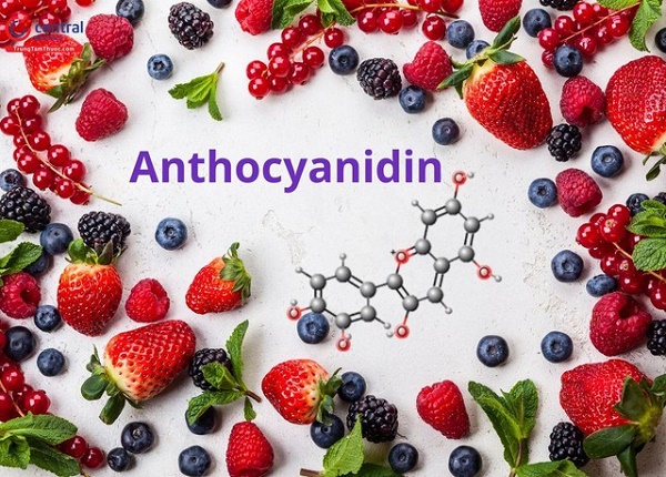<center><em>Thực phẩm màu tím có chứa chất chống oxy hóa anthocyanidin có tác dụng chống lại tia UV</em></center>
